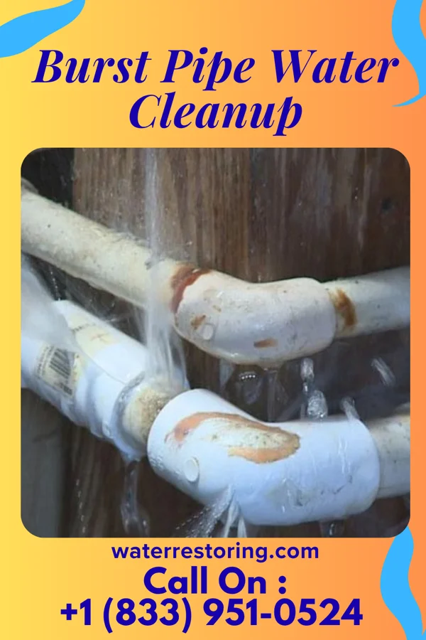 Burst Pipe Water Cleanup in Little Creek, DE