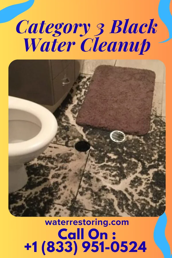 Category 3 Black Water Cleanup in Little Creek, DE