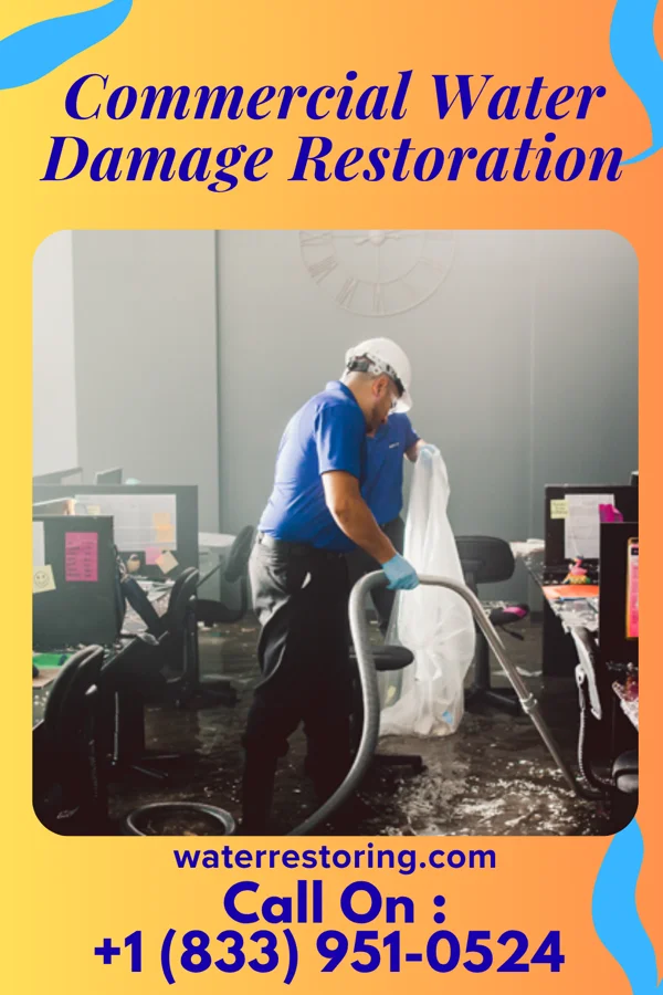 Commercial Water Damage Restoration in Little Creek, DE