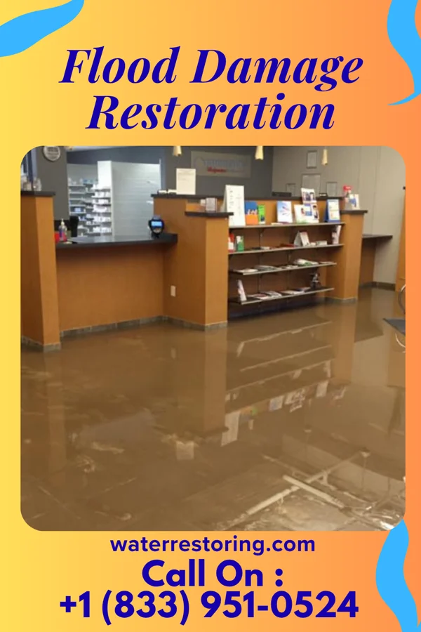 Flood Damage Restoration in Little Creek, DE