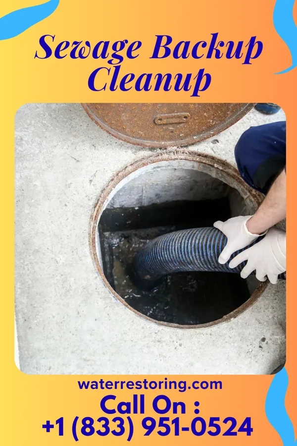 Sewage Backup Cleanup in Little Creek, DE